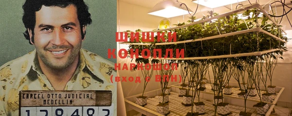 ГАЛЛЮЦИНОГЕННЫЕ ГРИБЫ Баксан