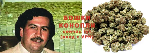 ГАЛЛЮЦИНОГЕННЫЕ ГРИБЫ Баксан