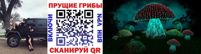 Галлюциногенные грибы GOLDEN TEACHER где купить Нягань