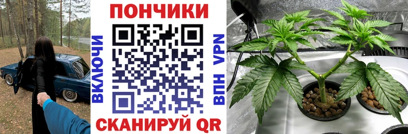 Шишки марихуана планчик  Нягань 
